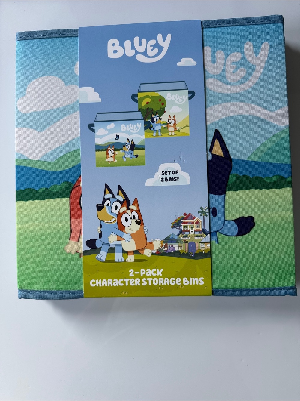 Bluey Character Storage Bin - Blue & Green